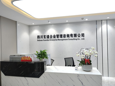 四川玄道企业管理咨询 商务咨询的专业之道