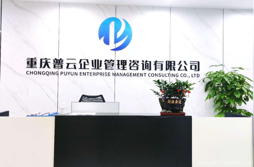 专业的商务咨询 企业成功的坚实支撑